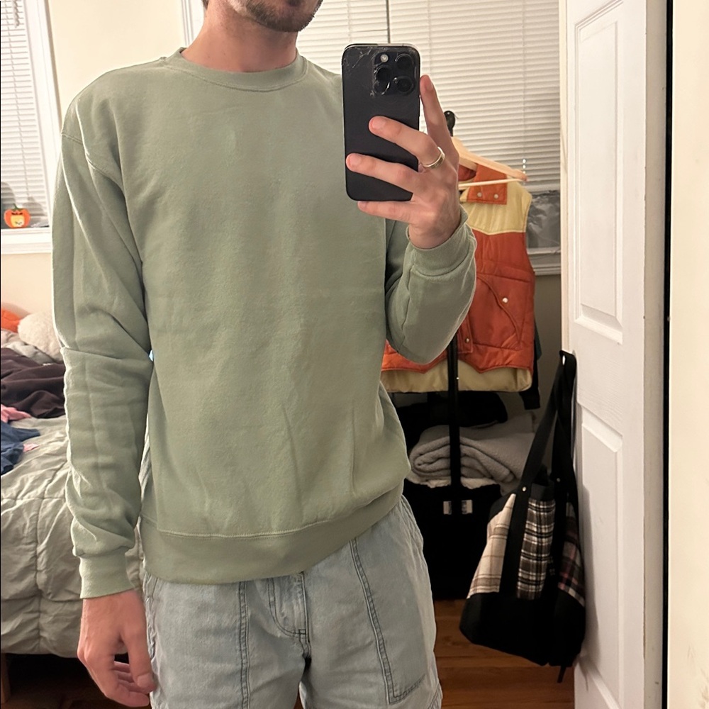 Hanes Men's Crewneck Sweater - Light Green